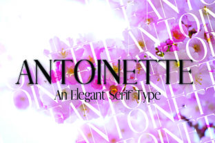 Antoinette: A Timeless Serif Font for Elegant Craft Projects