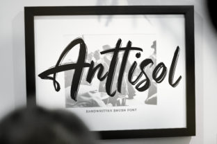 Anttisol: A Bold and Funky Font for Creative Campaigns