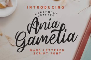 Enhance Your Brand with Ania Gamelia Font